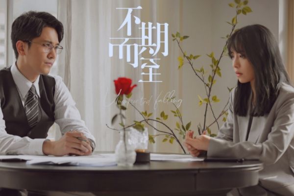 电视剧《不期而至》播出时间和平台?演员彭冠英蔡文静再次合作?