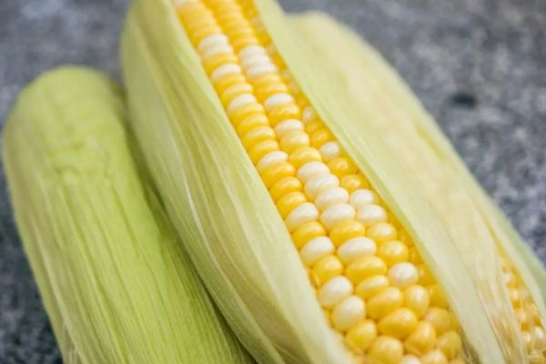 小学生早餐适合的食物有哪些?(胡萝卜土豆玉米补充一天营养)