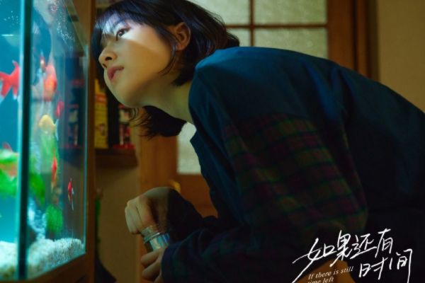 《如果还有时间》讲述温暖真情感故事?主演李兰迪林一作品介绍?