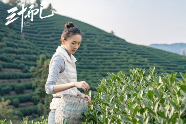 43 王漫妮出国留学顾佳带儿子定居茶场