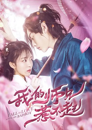 我的师兄惹不起
