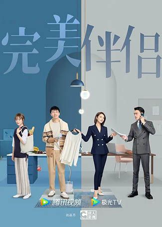 完美伴侣